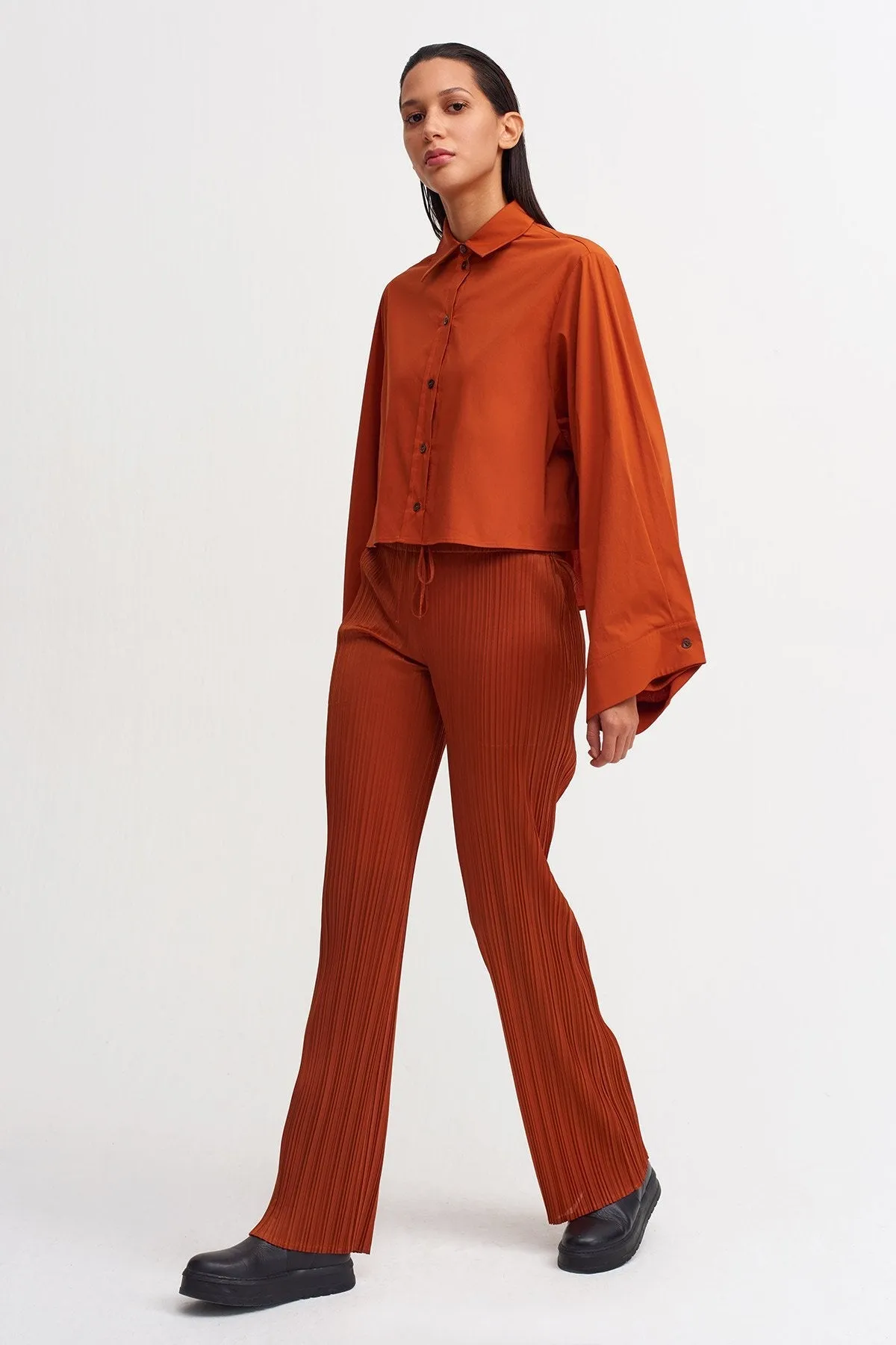 Nu Normal Waist Pleated Trouser Terra Cotta
