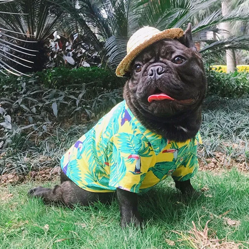 Pet Summer Cute Beach Shirts