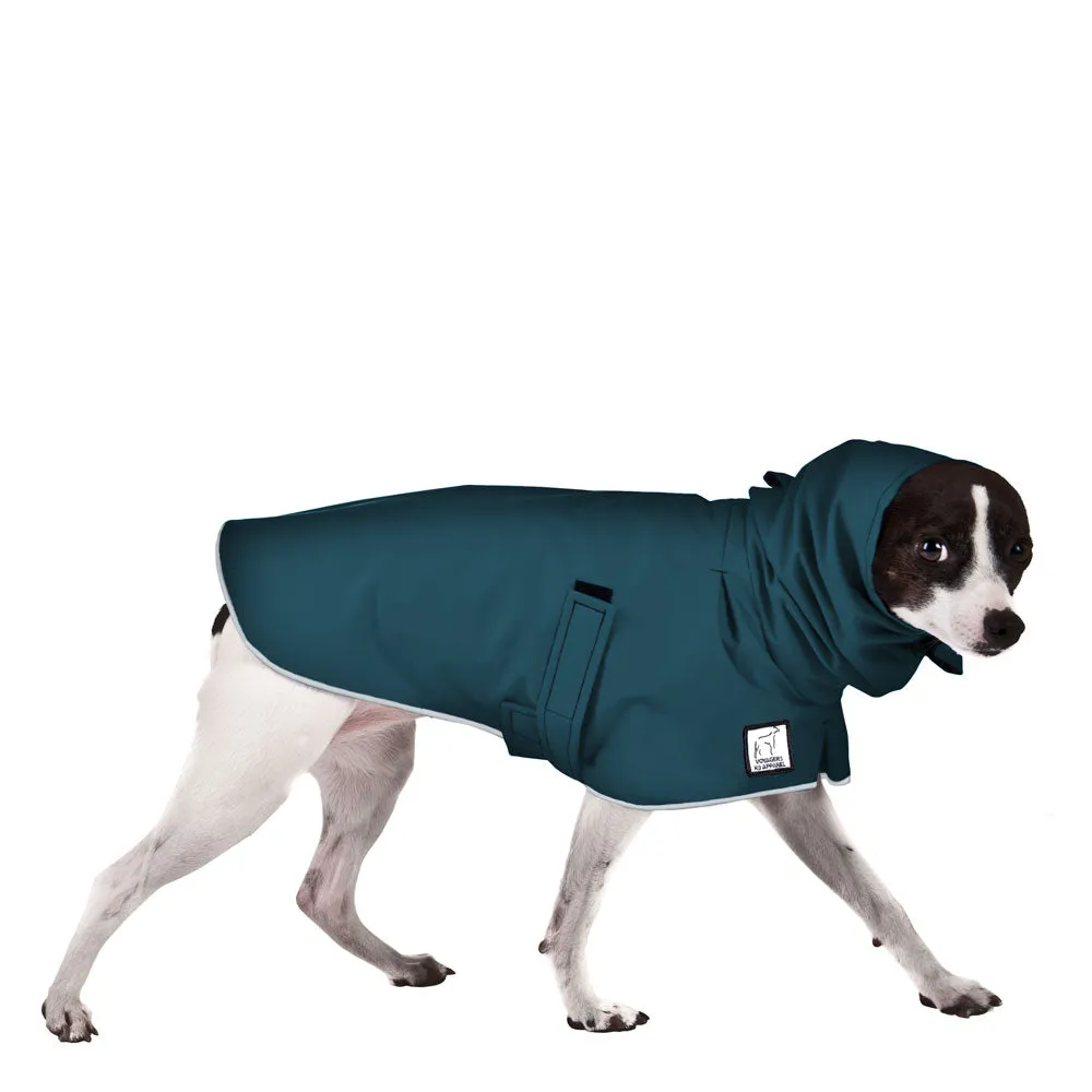 Rat Terrier Raincoat