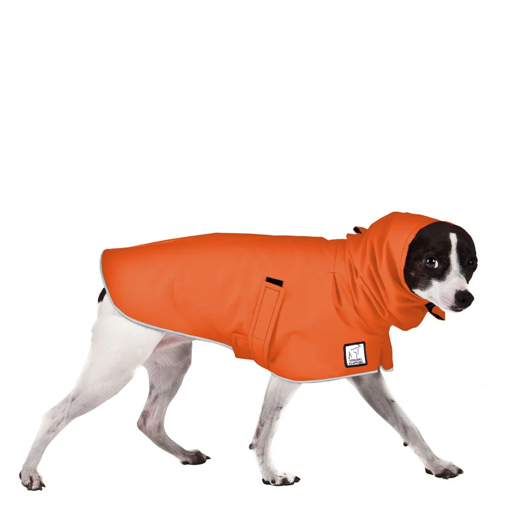 Rat Terrier Raincoat
